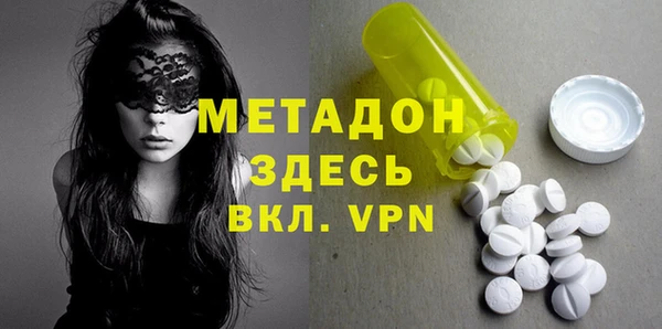 прущие грибы Лабытнанги