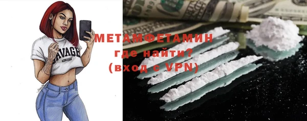 прущие грибы Лабытнанги