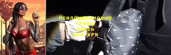 прущие грибы Лабытнанги
