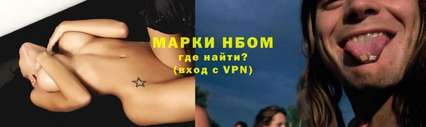 прущие грибы Лабытнанги