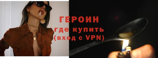 прущие грибы Лабытнанги