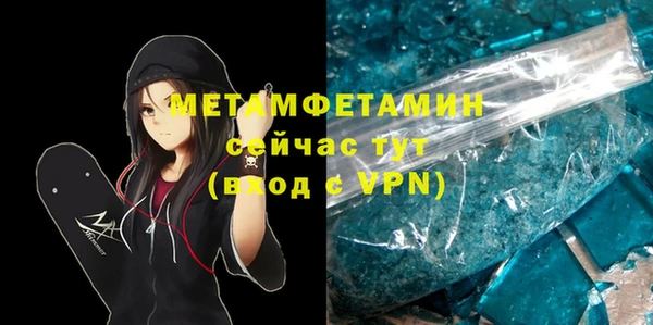 прущие грибы Лабытнанги