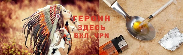 прущие грибы Лабытнанги
