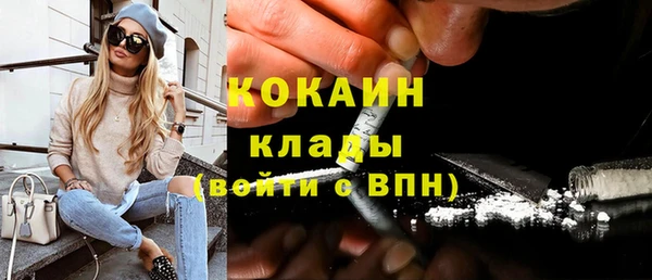 прущие грибы Лабытнанги