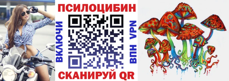 Псилоцибиновые грибы GOLDEN TEACHER  Суджа 